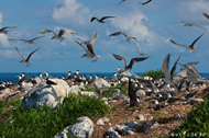 Close-up look at Trung Islet in Con Dao National Park
